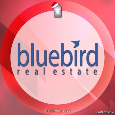 	Bluebird Real Estate	